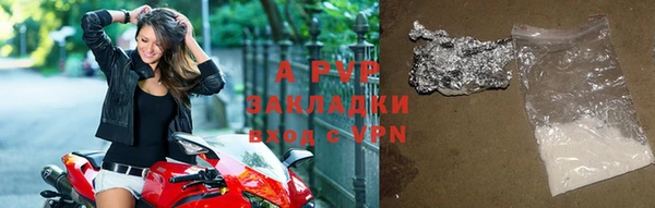 прущие грибы Богданович
