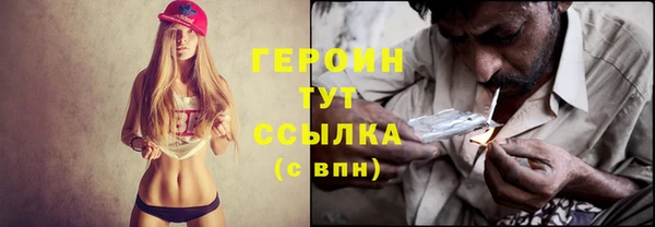 прущие грибы Богданович