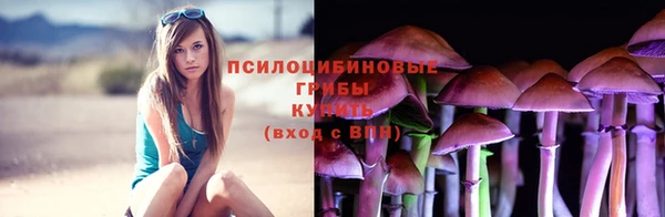 прущие грибы Богданович