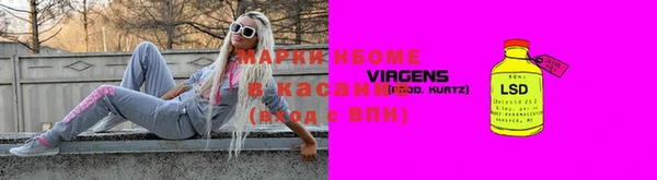прущие грибы Богданович