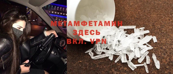 прущие грибы Богданович