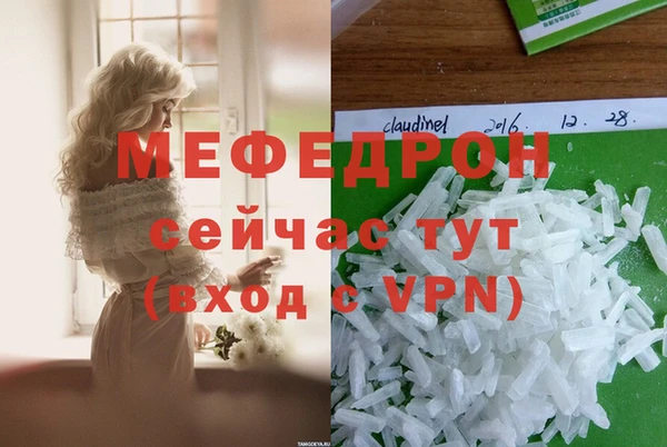 прущие грибы Богданович