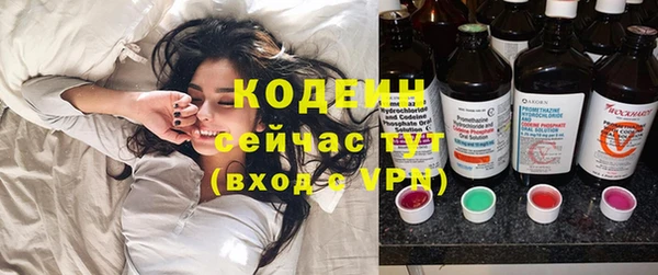 прущие грибы Богданович