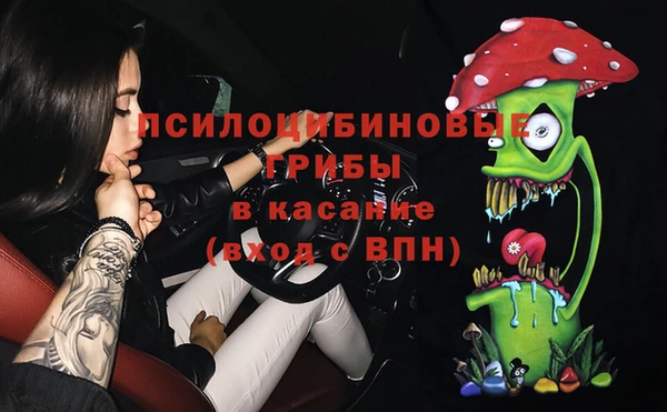 прущие грибы Богданович