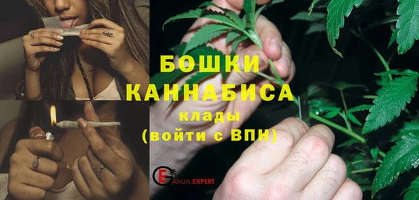 прущие грибы Богданович